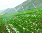 大通PE灌溉管销售生产